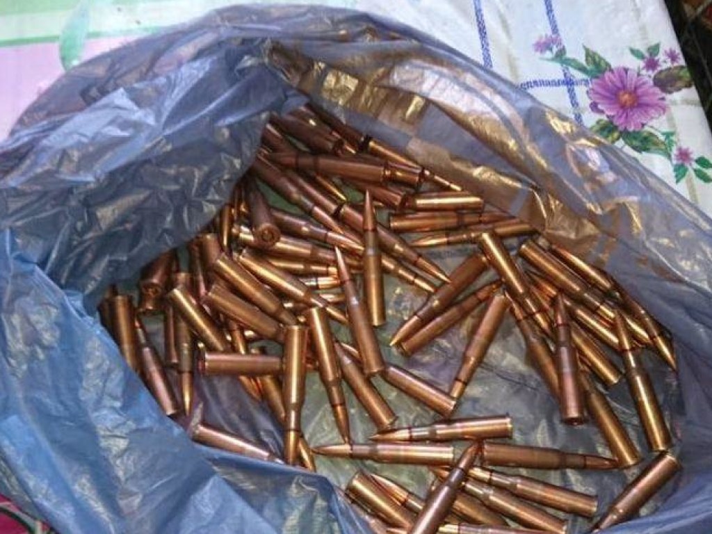 120 патронов нашли у 29-летней жительницы Винницкой области (ФОТО)