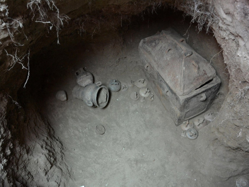 Греческий фермер отыскал 3400-летнее погребение под оливковым деревом (ФОТО)