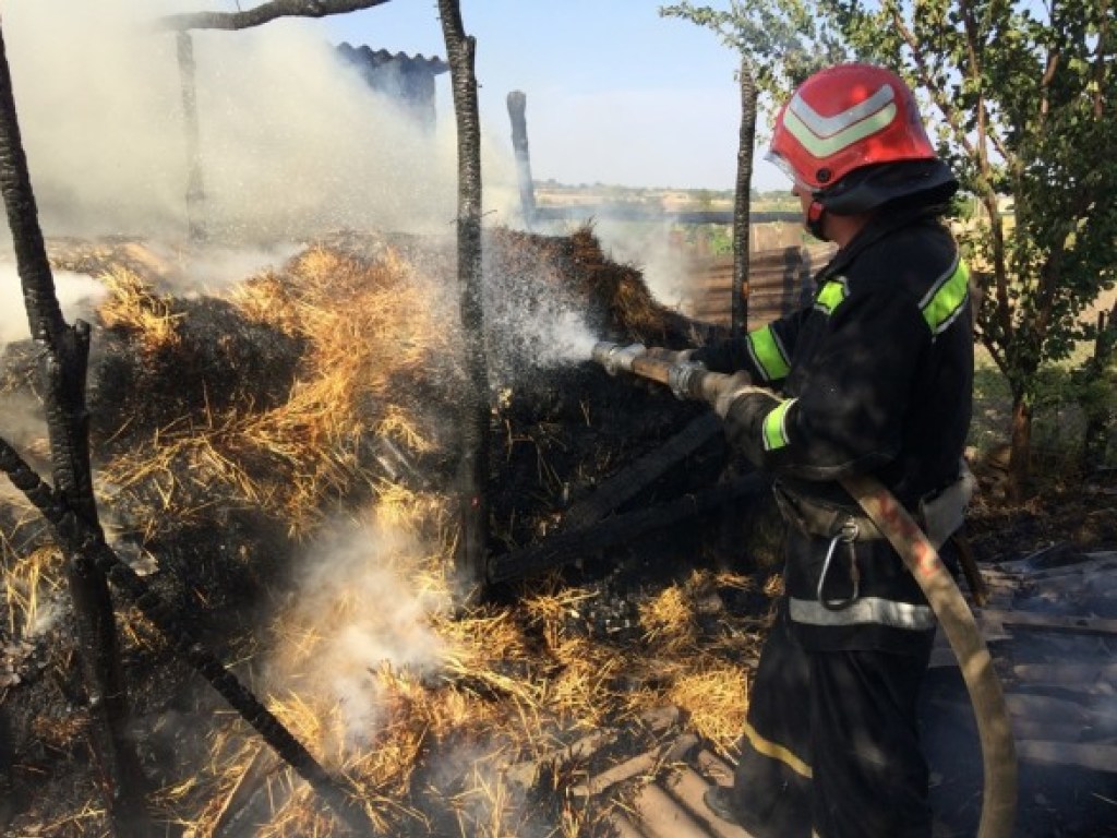 На Кировоградщине во время пожара нашли тело ребенка (ФОТО)