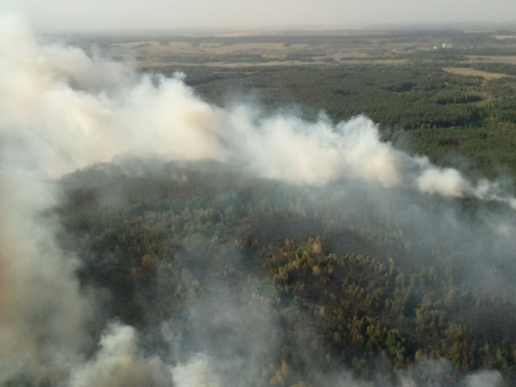 Крупный лесной пожар в Харьковской области тушат 170 человек (ФОТО)
