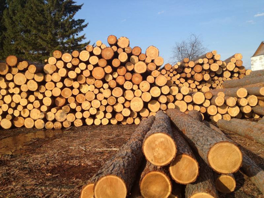 В Раде пошли на уступки по экспорту леса по требованию МВФ – политолог