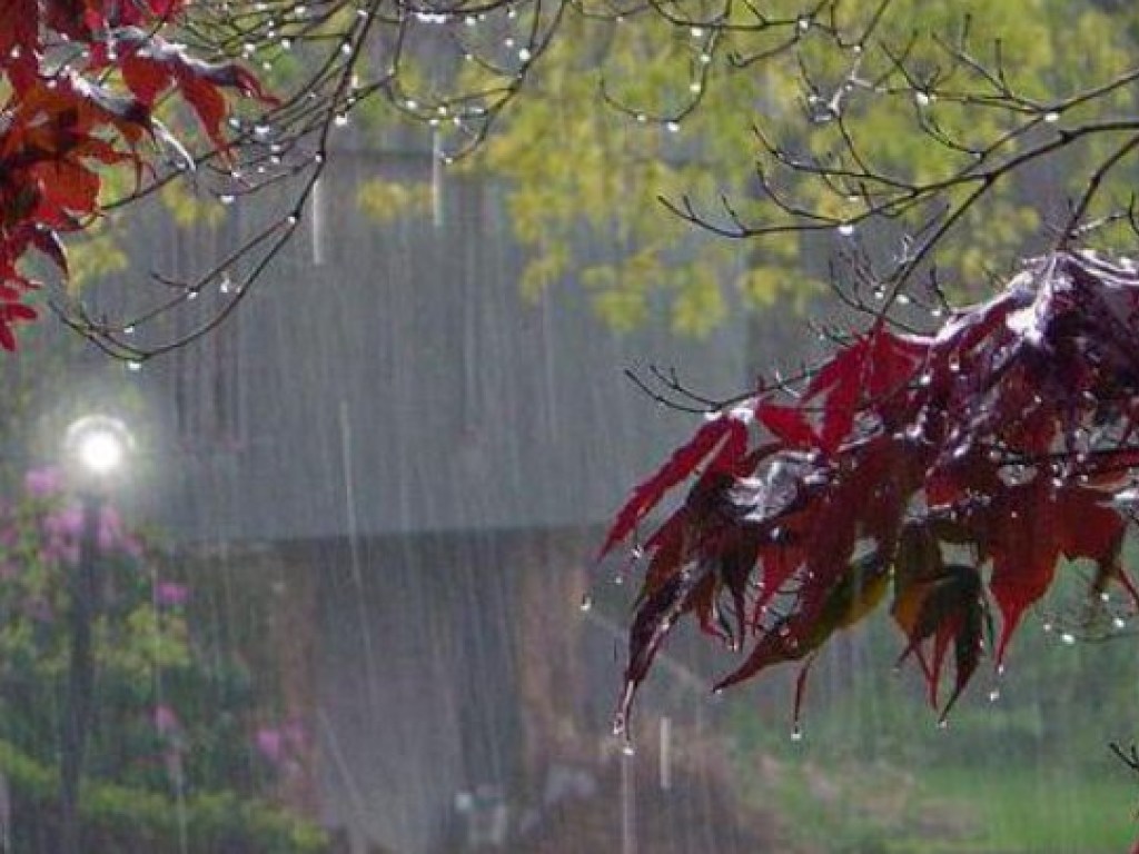 Погода на завтра: Украину накроют дожди, местами с грозами