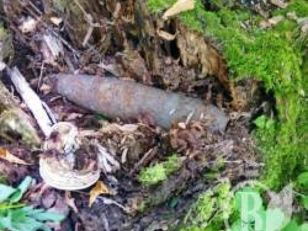 В Черниговской области около железной дороги нашли снаряд