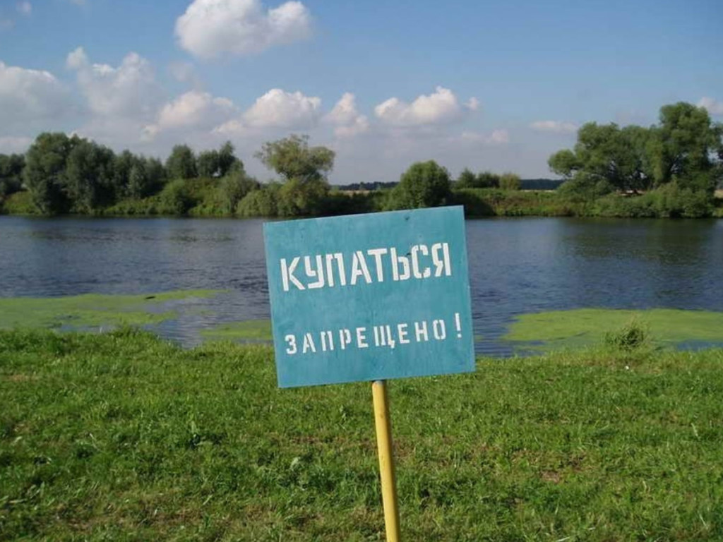 В Кировоградской области 7 человек заболело на лептоспироз