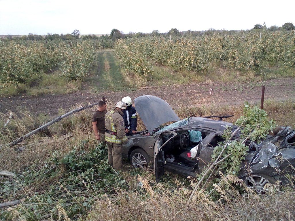 На Донбассе авто протаранило дерево, тела погибших вырезали спасатели