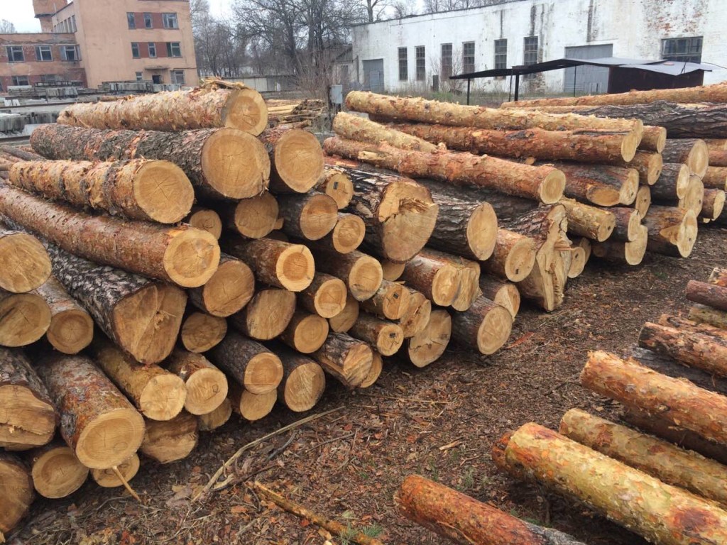 Контрабанда леса-кругляка из Украины будет продолжаться &#8212; экономист