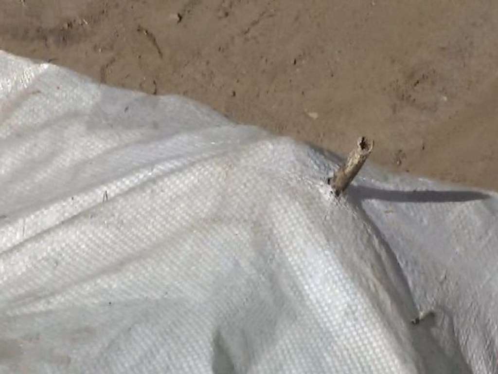 В Санкт-Петербурге у морга нашли мешок с человеческими останками