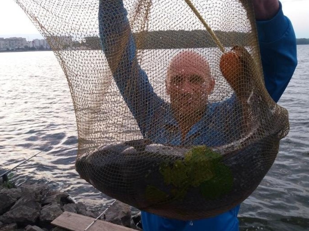 Рыбаки на Тернопольщине поймали гигантского карпа (ВИДЕО)