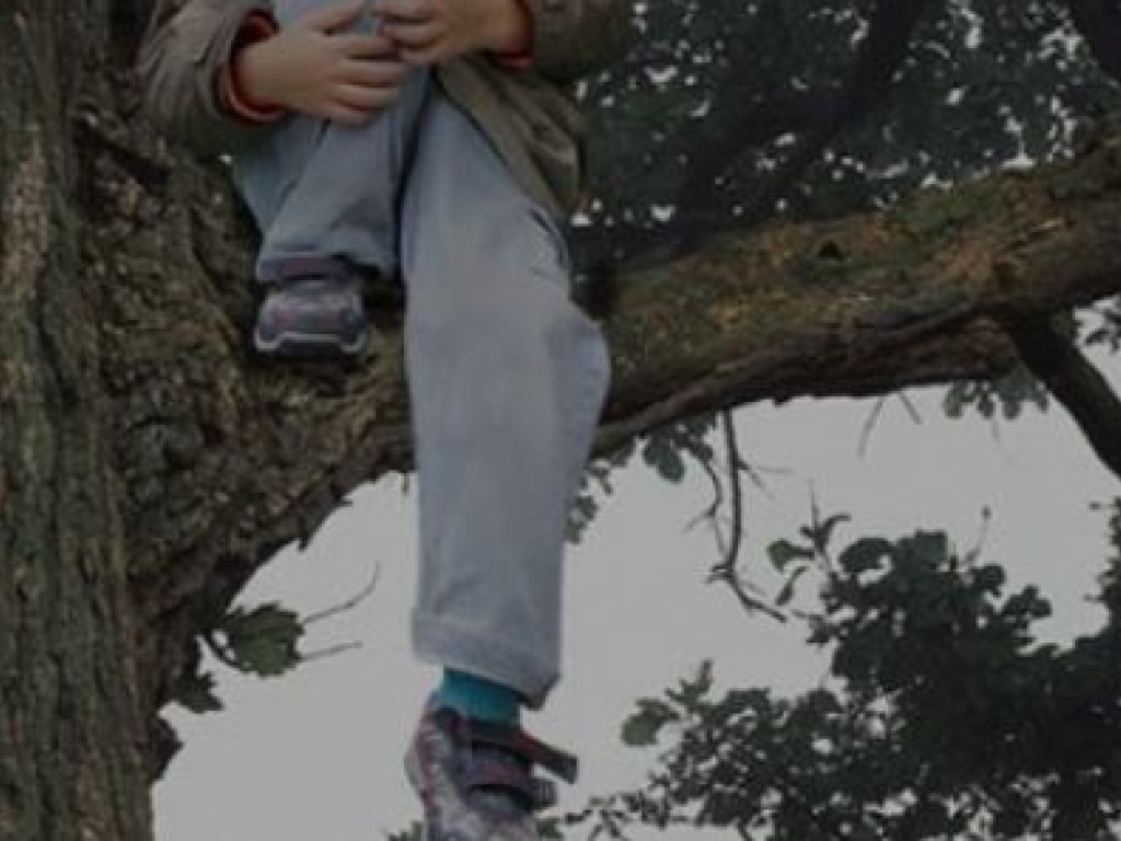 Ребенок застрял ногой на дереве в Святошинском районе Киева