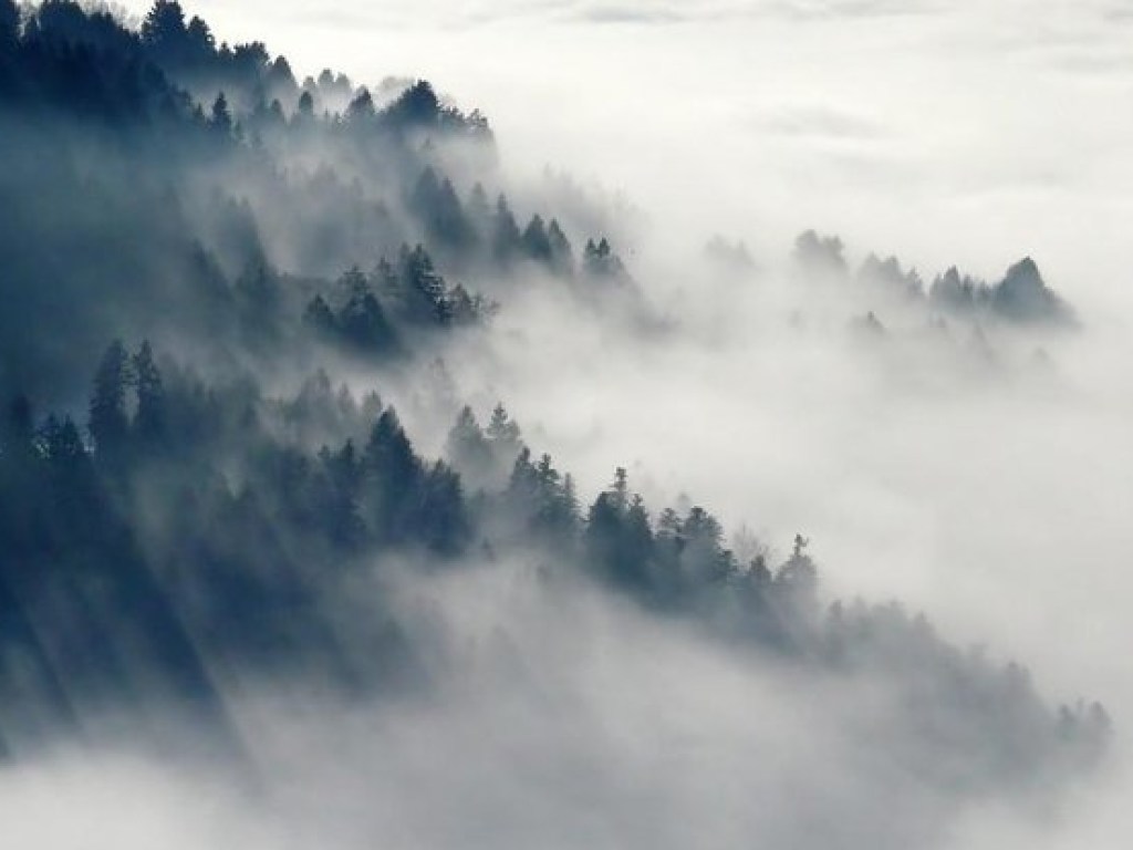 Погода на 13 сентября: в Украине местами туман, температура поднимется до +29