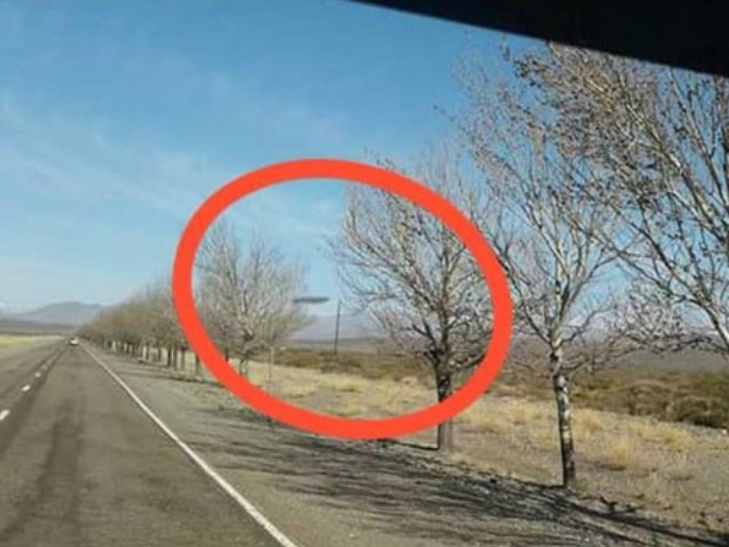 Странный прямоугольник: Перед капотом аргентинца пролетел таинственный объект (ФОТО)