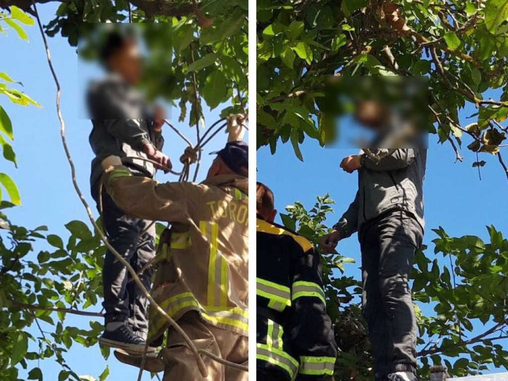 В Ужгороде на дереве повесился 21-летний парень (ФОТО)