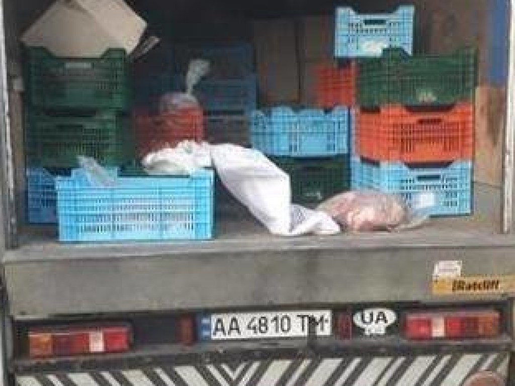 В Киеве пьяный водитель развозил протухшее мясо в детсады (ФОТО)