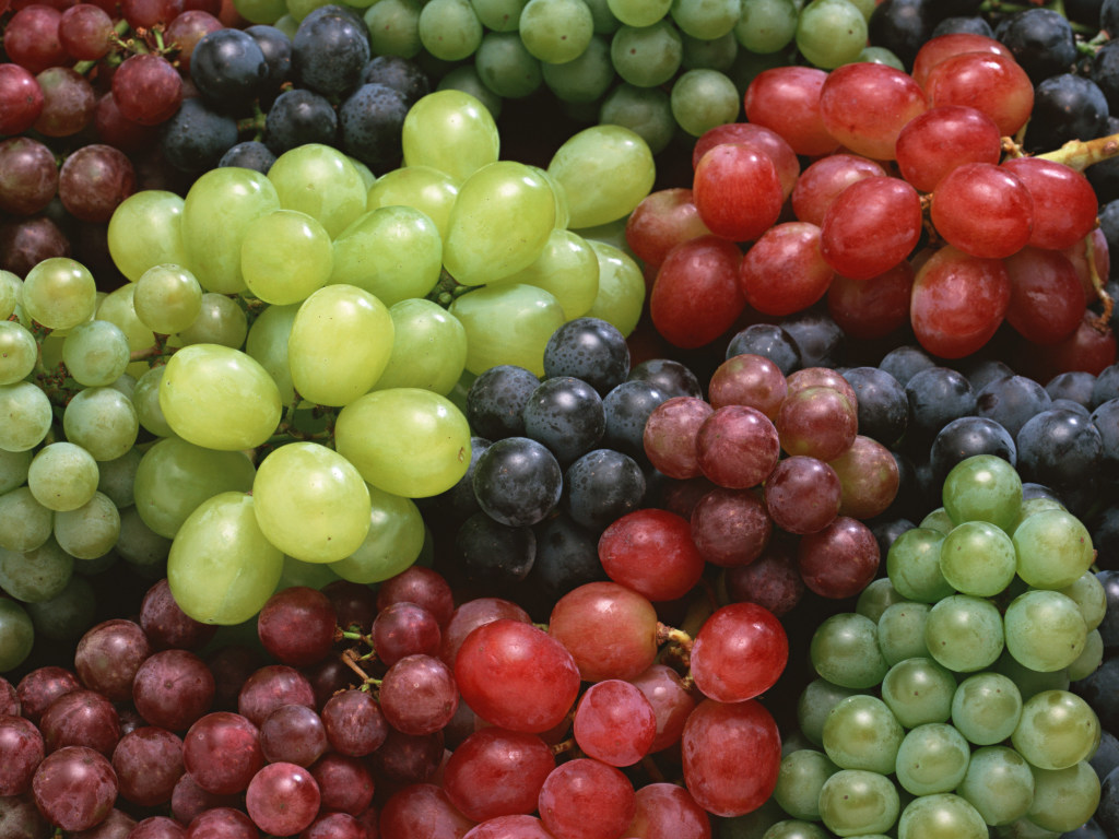 Агроном дал советы, как сохранить на зиму свежие грозди дачного винограда