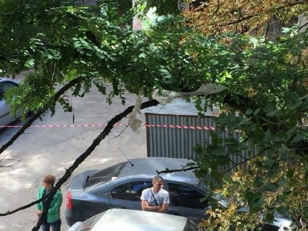 Пакет с мертвым младенцем нашел бездомный в Соломенском районе Киева (ФОТО)