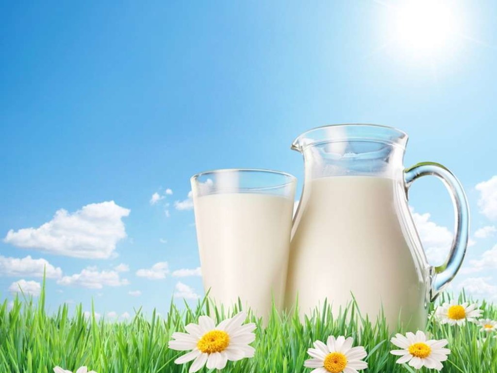 В Украине сокращается производство молока – Госстат