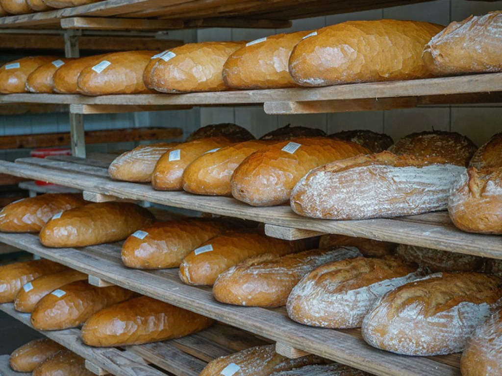 И. Томич: «Хлеб для украинцев пекут из кормовой, непродовольственной пшеницы»