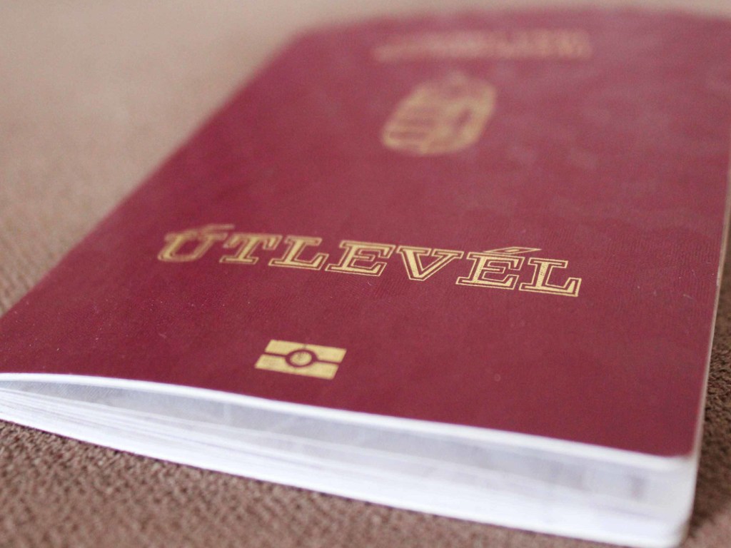 В Берегово украинцам начали выдавать венгерские паспорта, угощая шампанским &#8212; СМИ (ВИДЕО)