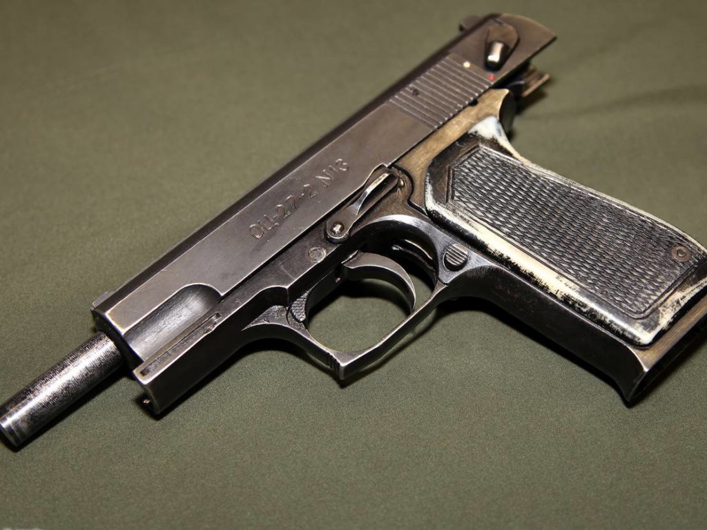 Житель Днепра стрельбой из пистолета «отгонял» от своего дома налоговиков