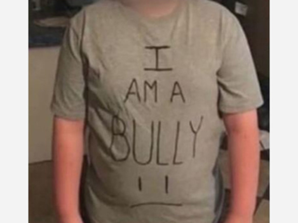 В США мать для воспитания сына выбрала отпрыску «назидательную» футболку