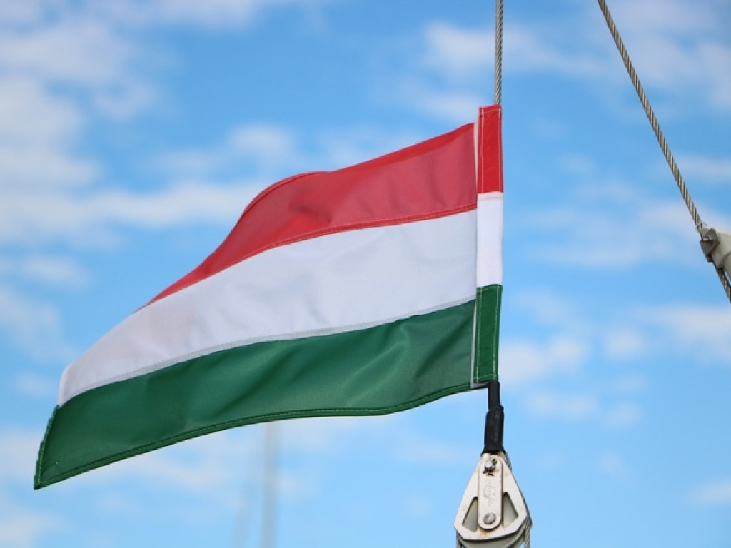 Появилось видео задержания мужчины с венгерским флагом, снятое якобы в Закарпатье