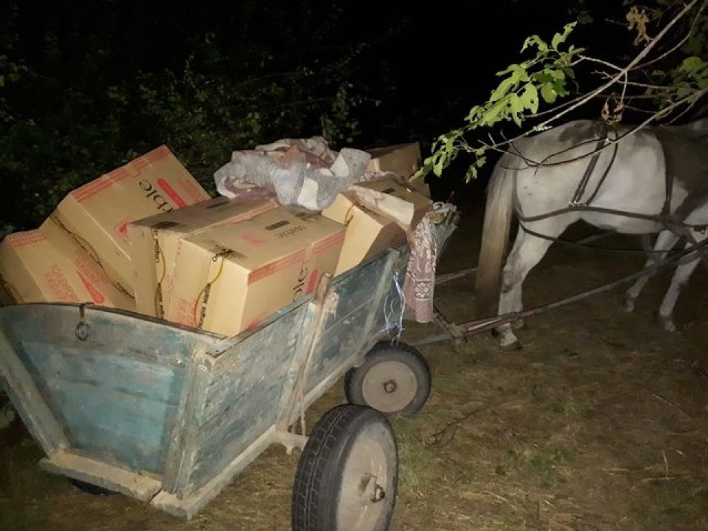 На Одесчине контрабандисты перевозили сигареты на телеге с конем (ФОТО, ВИДЕО)
