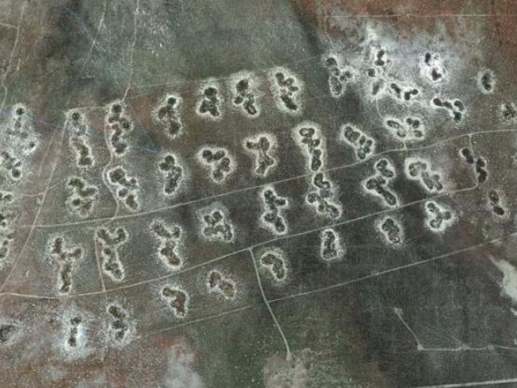 На картах Google Earth обнаружили загадочные фигуры (ВИДЕО)