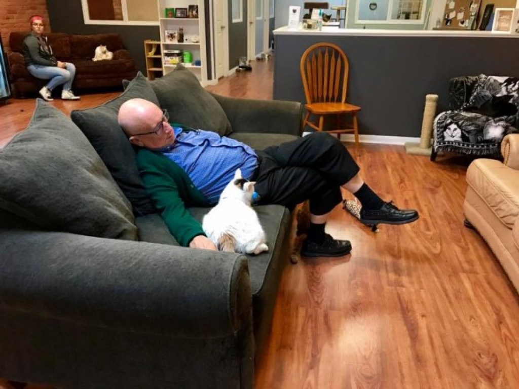 Спящий с кошками дедушка-американец позволил собрать приюту 40 тысяч долларов (ФОТО)