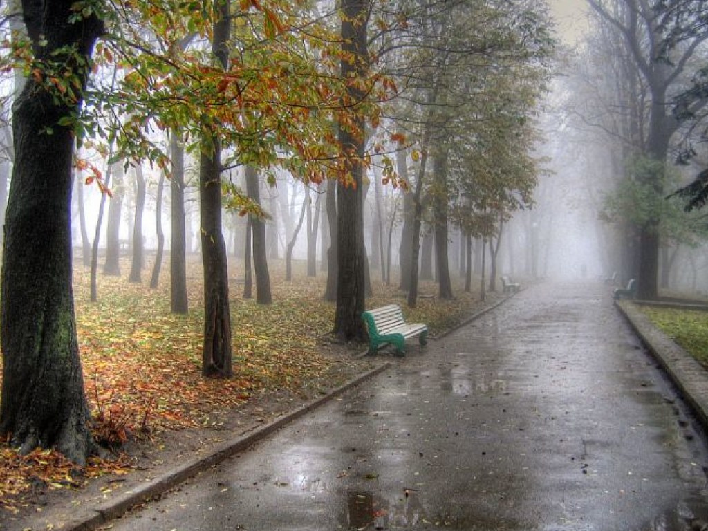 Синоптик: 24 сентября на большей части Украины будет холодно, сыро и ветрено