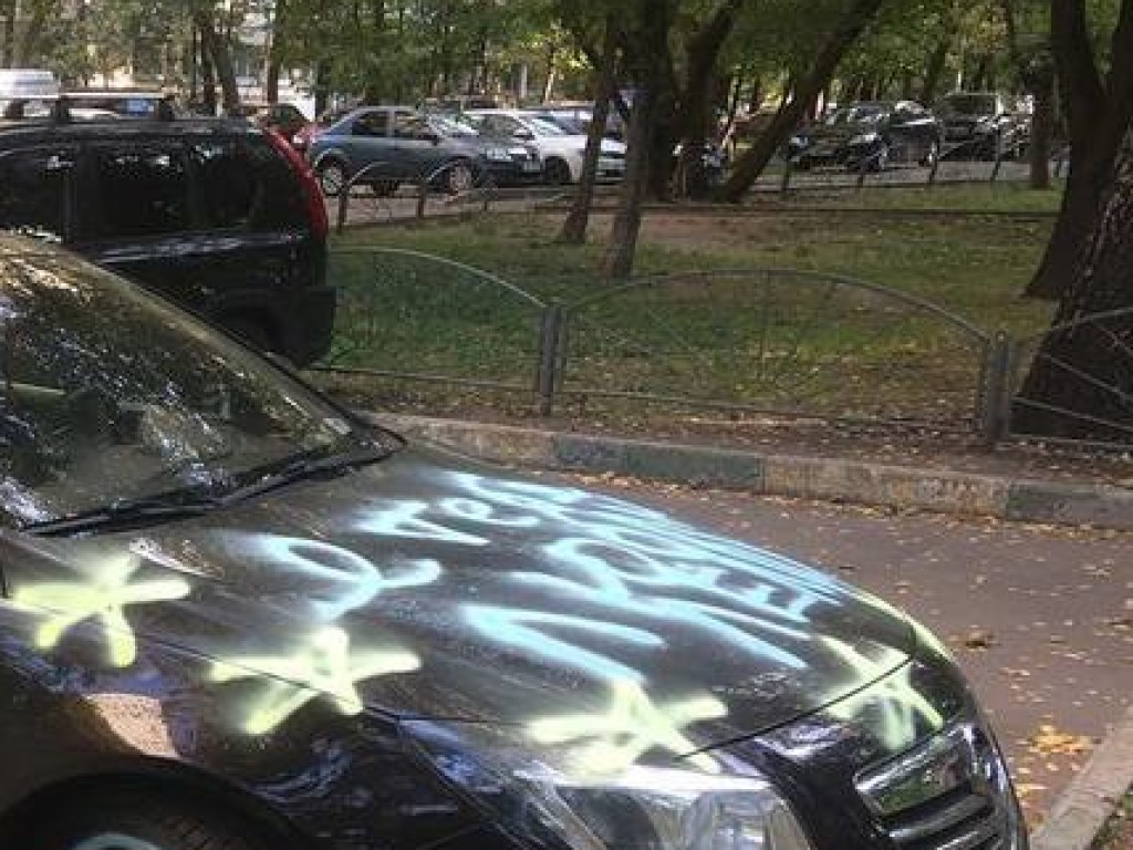 По уши влюбилась: в Москве девушка разрисовала Opel парня (ФОТО)
