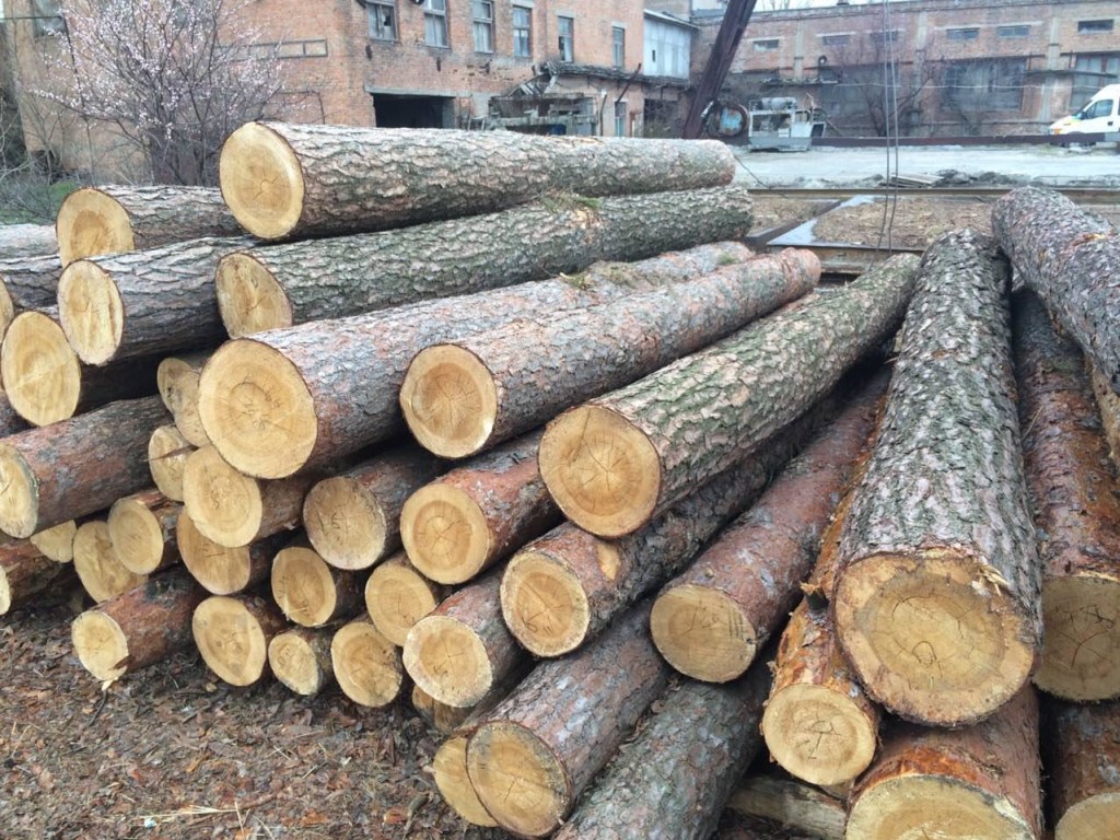 Продажа украинского леса, или Сговор за финансовые порции ЕС 