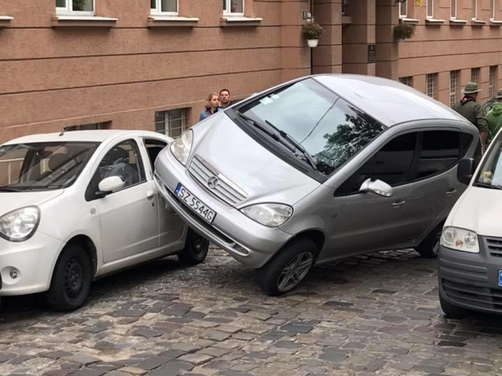 Во Львове девушка очень неудачно припарковала автомобиль и рассмешила соцсети (ФОТО)
