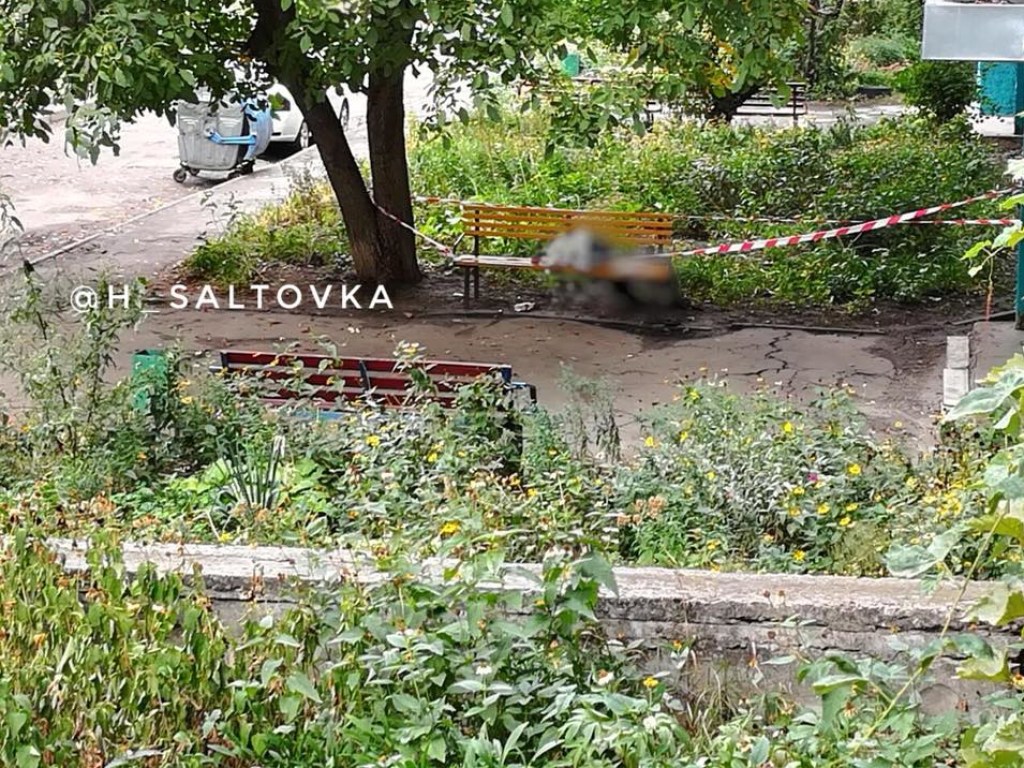 Рядом с детской площадкой: В одном из харьковских дворов несколько часов пролежал труп мужчины (ФОТО, ВИДЕО)
