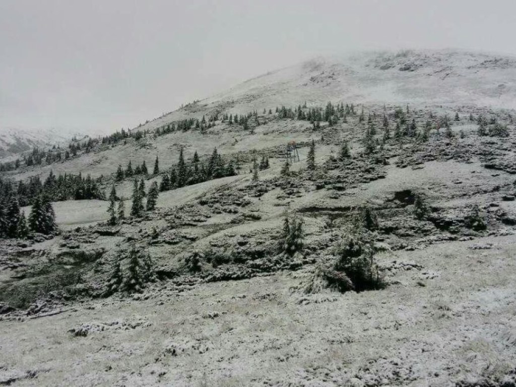 В Карпатах выпал снег, опубликованы фото