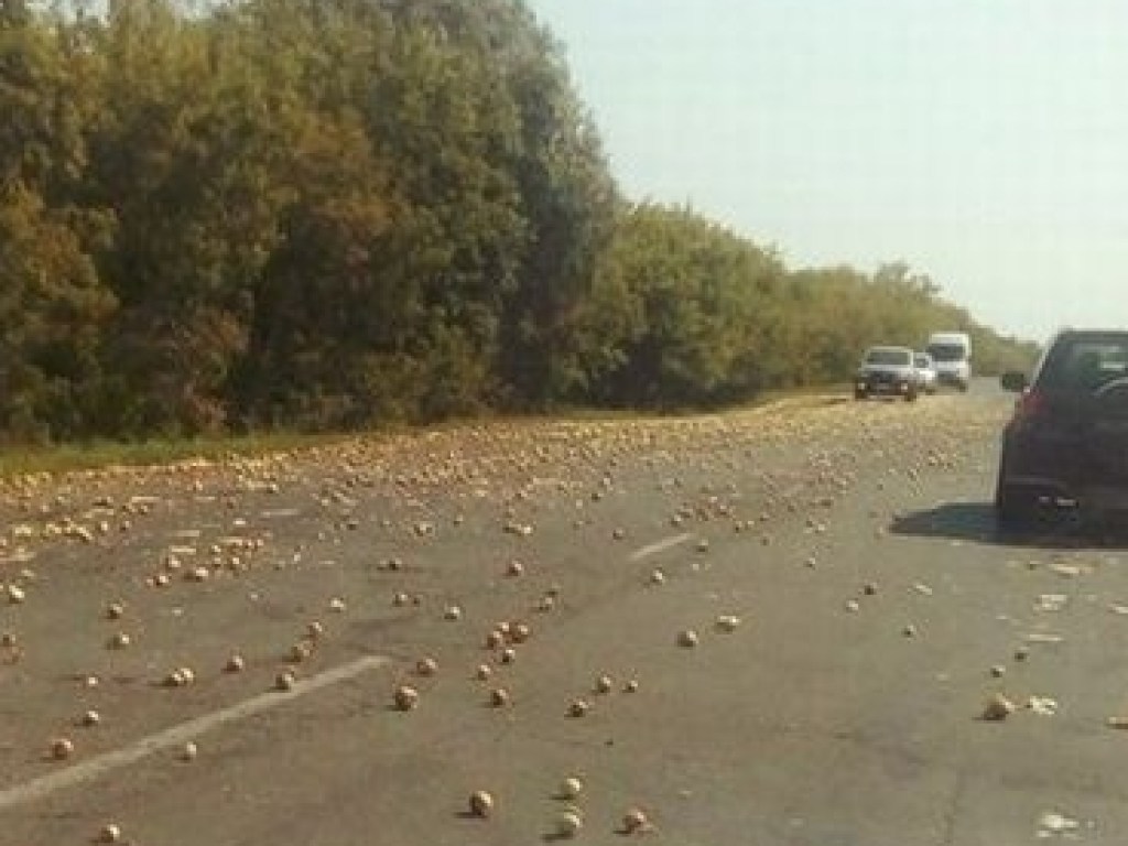 Урожай высыпался на дорогу: на трассе Киев-Харьков перевернулась фура с луком (ФОТО)