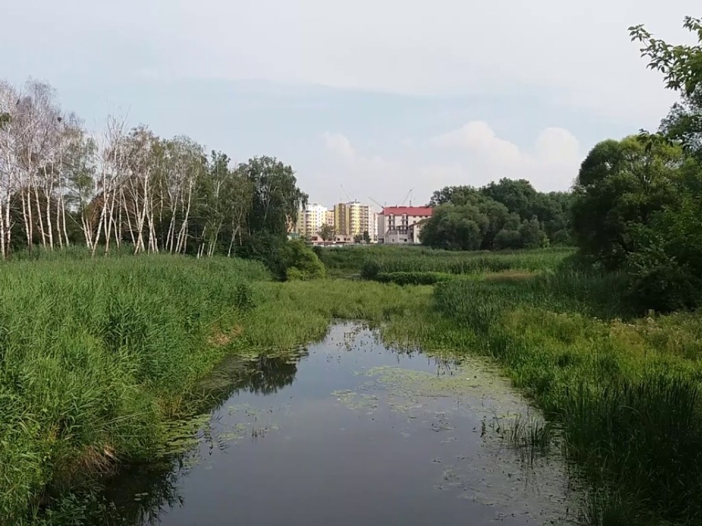 В Тернопольской области произошла экологическая катастрофа