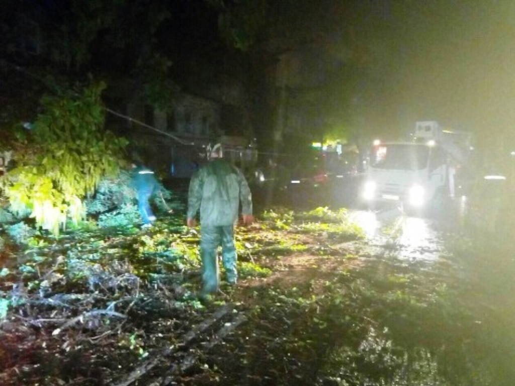 В Одессе из-за сильного ветра дерево рухнуло на автомобиль: пострадала женщина (ФОТО)