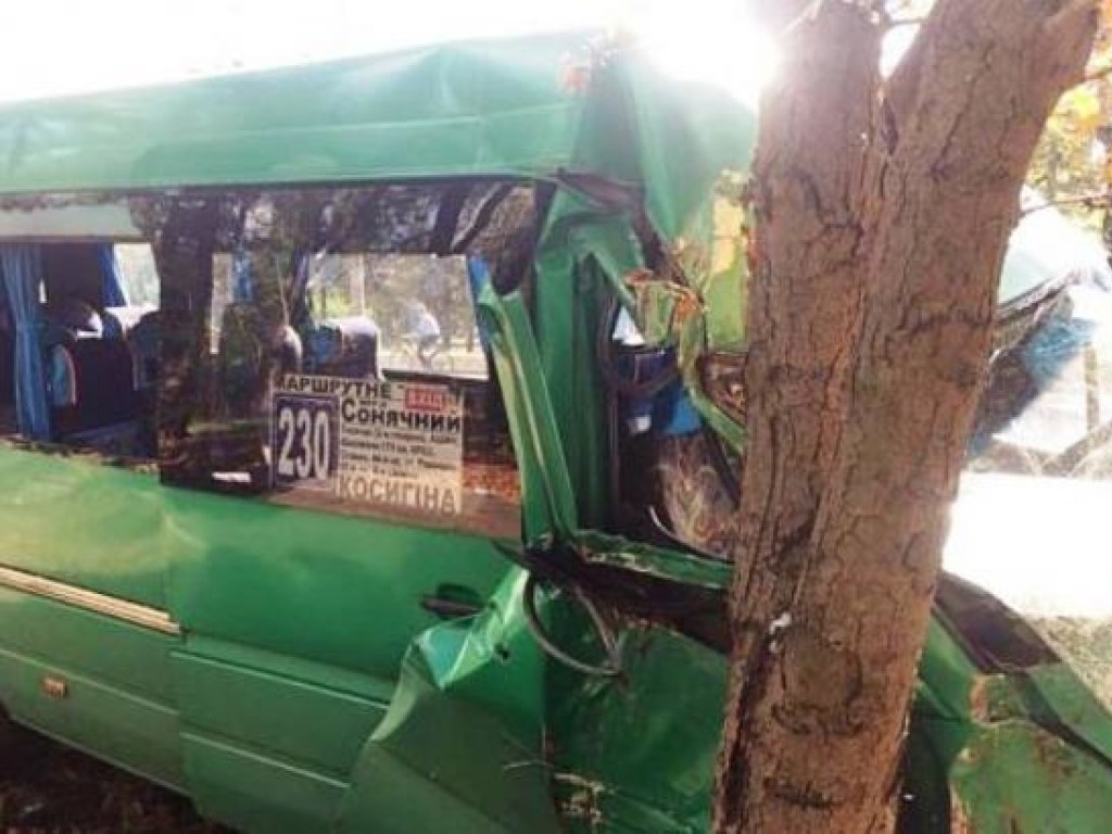 В Кривом Роге маршрутка с пассажирами врезалась в дерево, пострадали 8 человек (ФОТО)