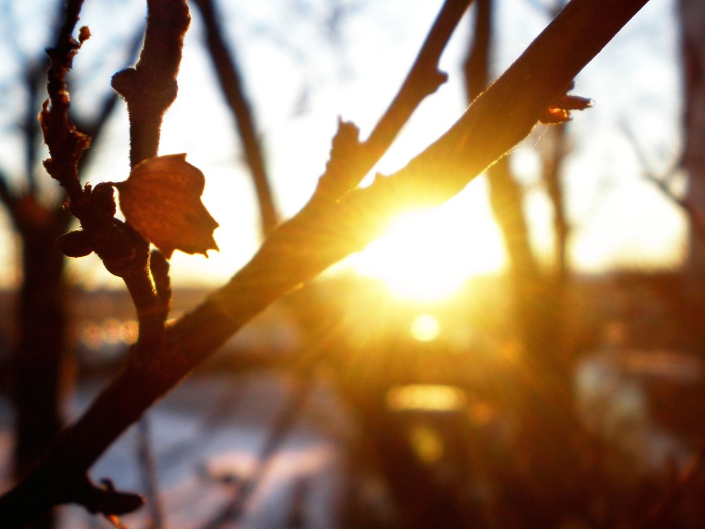 Синоптик: Пятница принесет в Украину потепление и солнце (КАРТА)