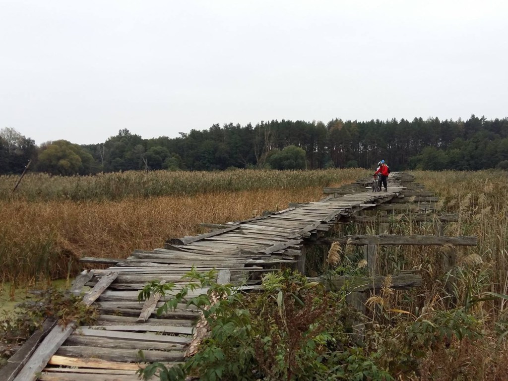 В Черниговской области за 27 лет исчезли 54 села – СМИ (ВИДЕО)
