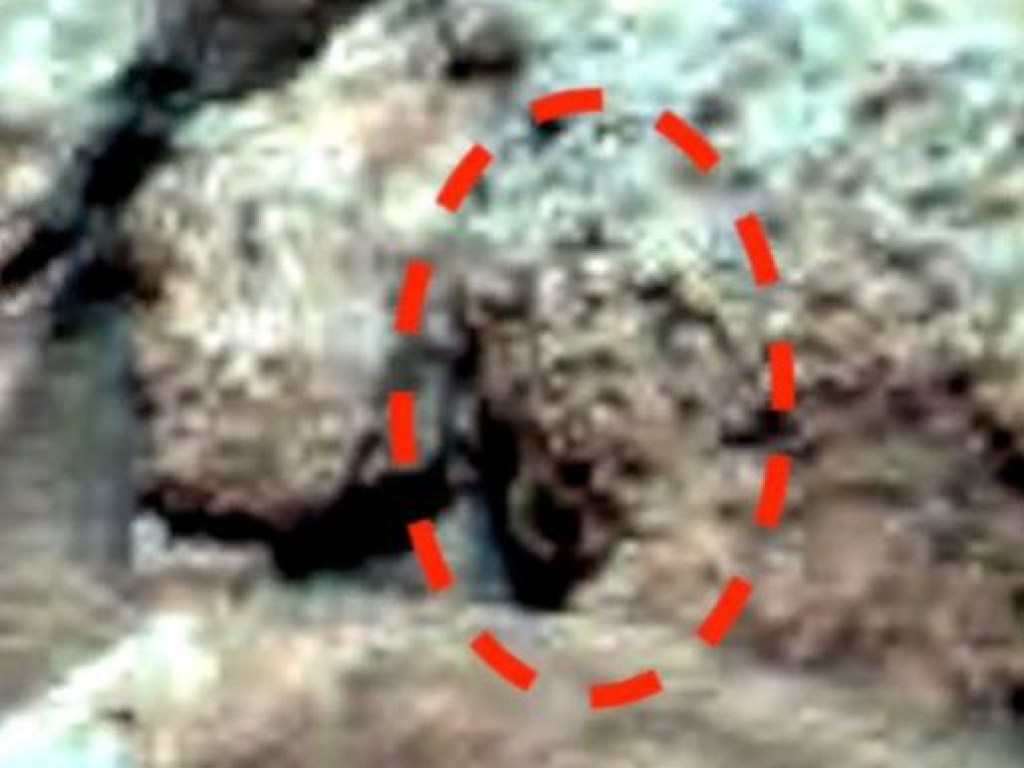 Уфолог нашел на Марсе черепа инопланетян и их инструменты (ФОТО, ВИДЕО)