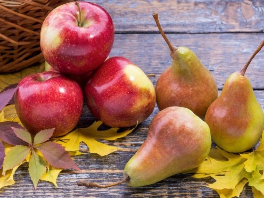 Цена на яблоки и груши с ноября резко пойдет вверх – эксперт