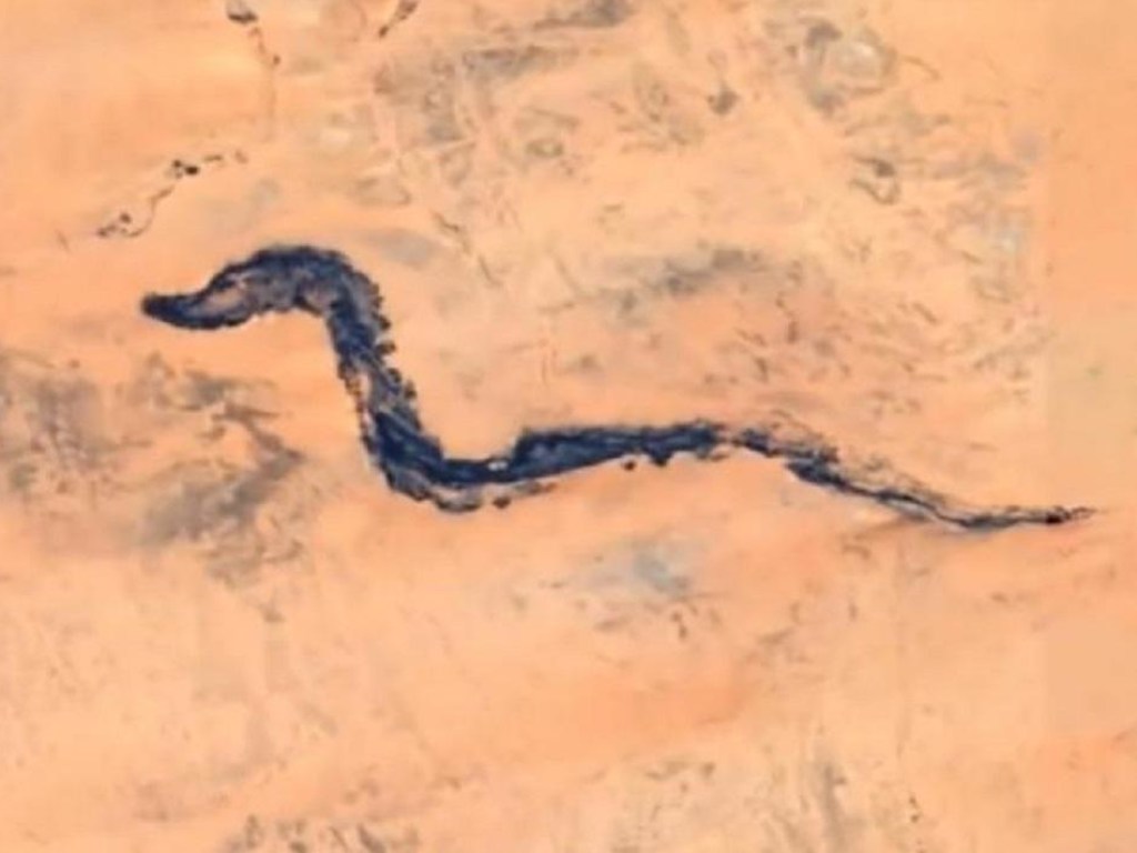 Окаменелый «дракон» в пустыне Мавритании шокировал ученых (ФОТО, ВИДЕО)