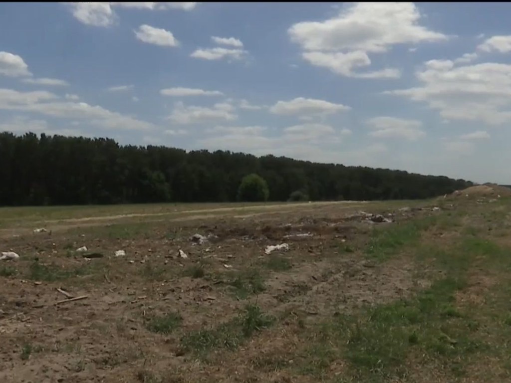 На стихийной свалке в Херсонской области нашли могильник свиней