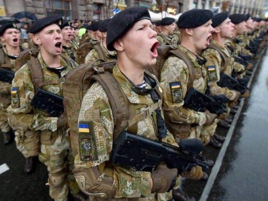 Приветствие «Слава Украине» может расколоть Украину &#8212; депутат