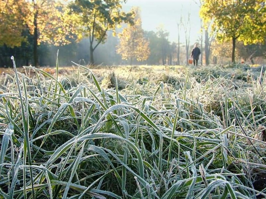 Погода на завтра: в Украине ожидаются заморозки