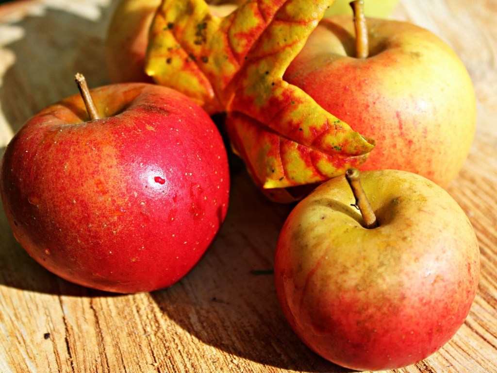 Индия согласилась на экспорт яблок из Украины