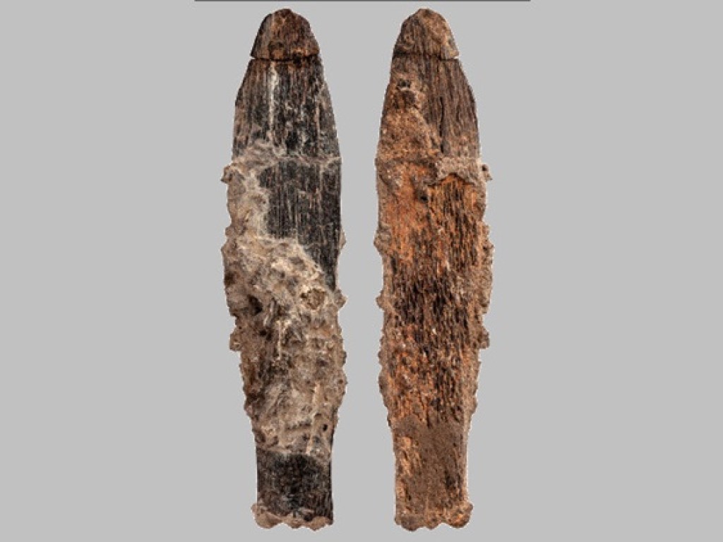 Артефакту 90 тысяч лет: археологи нашли нож из кости быка (ФОТО)
