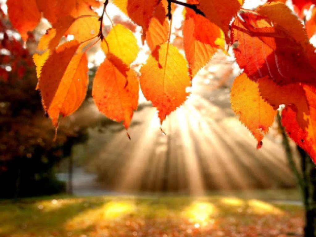 Погода на 6 октября: по всей Украине будет солнечно и по-осеннему тепло