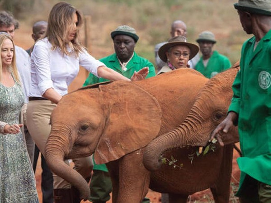 В Кении слоненок агрессивно отреагировал на присутствие Мелании Трамп (ФОТО, ВИДЕО)